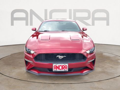 Used 2019 Ford Mustang Coupe RWD image 5