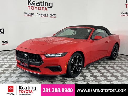 Used 2025 Ford Mustang Premium RWD image 9
