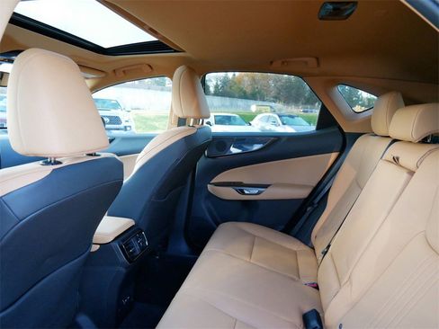 Used 2025 Lexus NX 350 AWD w/ Premium Package image 9