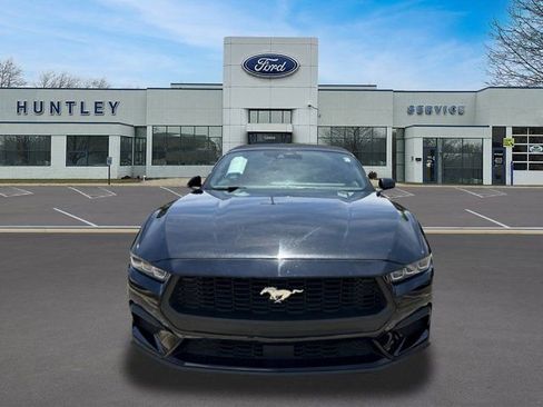 Used 2024 Ford Mustang Premium RWD image 2