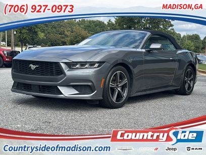 Used 2024 Ford Mustang Premium