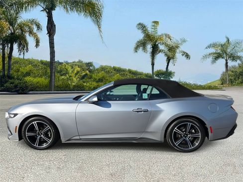 Used 2024 Ford Mustang Premium RWD image 2