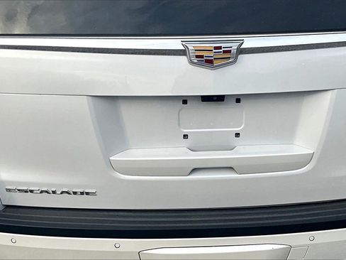 Used 2019 Cadillac Escalade Luxury image 7