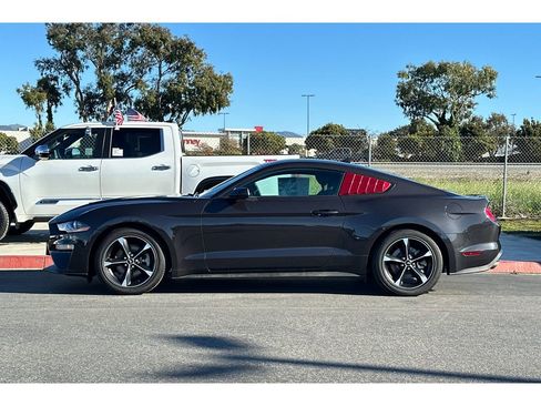 Used 2023 Ford Mustang Coupe w/ Equipment Group 101A image 7