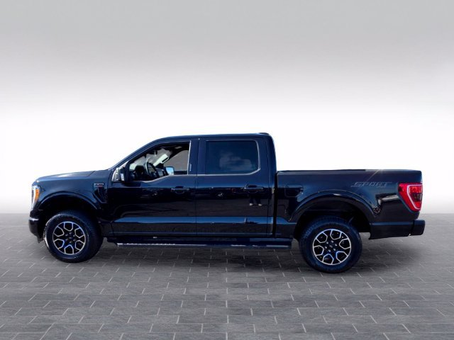 Used 2023 Ford F150 XLT w/ Equipment Group 302A High AWD/4WD image 4