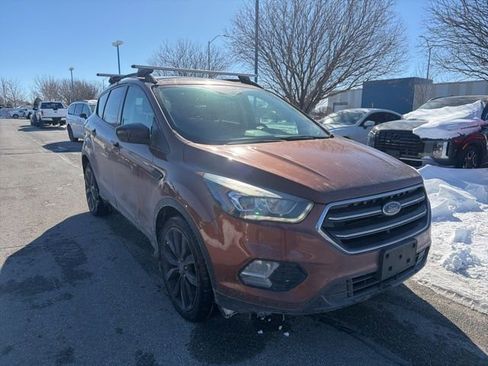 Used 2017 Ford Escape SE w/ SE Sport Appearance Package image 2