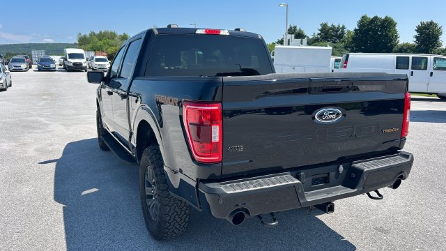 Used 2023 Ford F150 Tremor AWD/4WD image 9