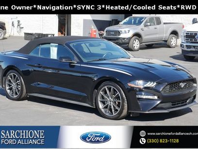 Used 2019 Ford Mustang Premium w/ Equipment Group 201A