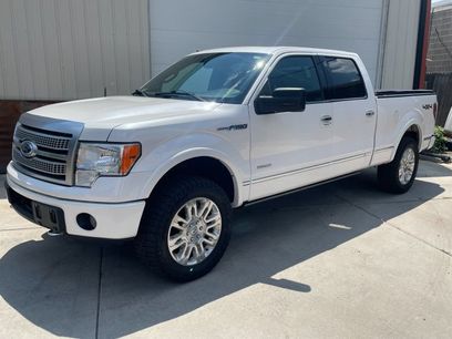 Used 2011 Ford F150 Platinum