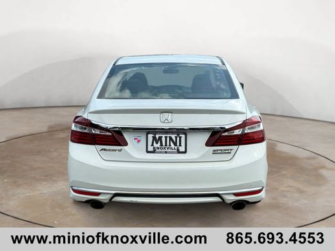 Used 2017 Honda Accord Sport Special Edition image 4