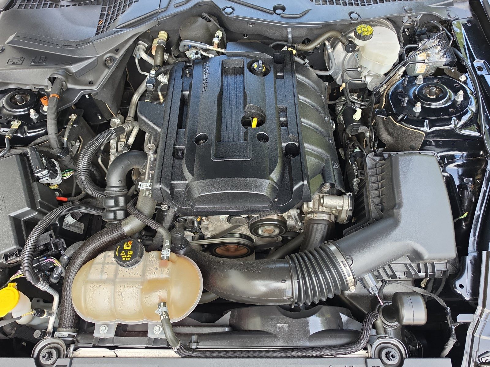 Used 2019 Ford Mustang Coupe w/ Equipment Group 101A RWD image 14