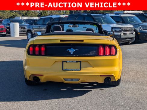 Used 2015 Ford Mustang Convertible w/ Equipment Group 051A image 5