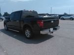 Used 2025 Ford F150 XLT w/ Equipment Group 301A Standard RWD image 8