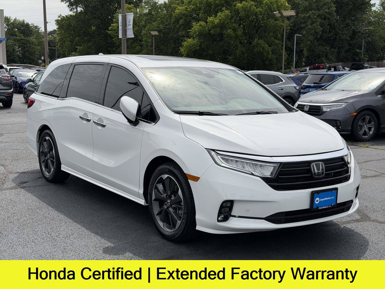 Certified 2024 Honda Odyssey Elite image 1
