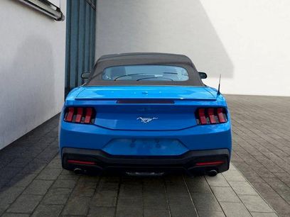 Certified 2024 Ford Mustang Premium