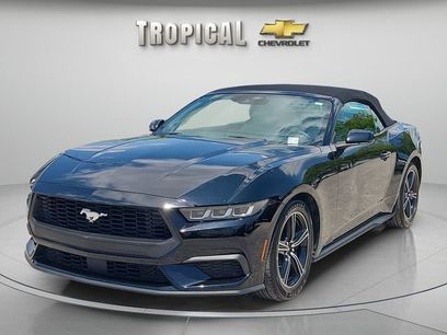 Used 2024 Ford Mustang Premium