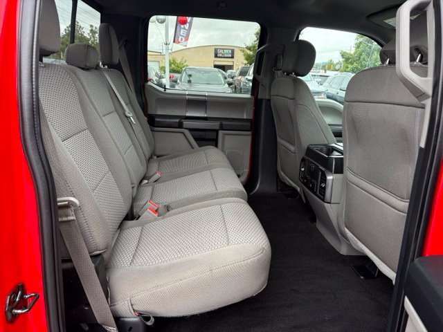 Used 2019 Ford F150 XLT w/ Equipment Group 302A Luxury RWD image 24