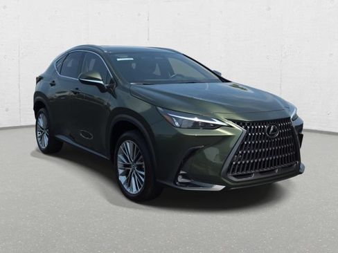 Used 2025 Lexus NX 350h AWD w/ Cold Area Package image 3