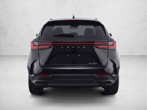 Used 2025 Lexus NX 250 NX 250 Premium w/ Cold Area Package image 6