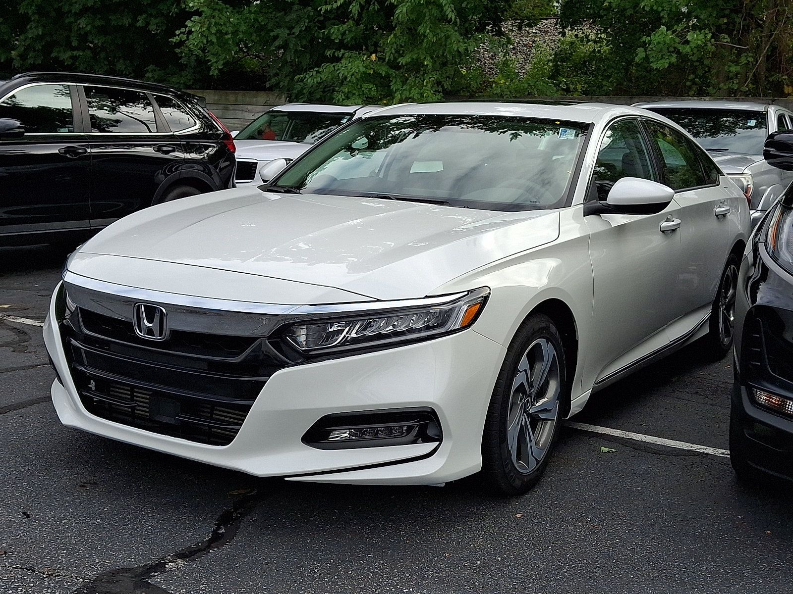 Certified 2019 Honda Accord EX image 3