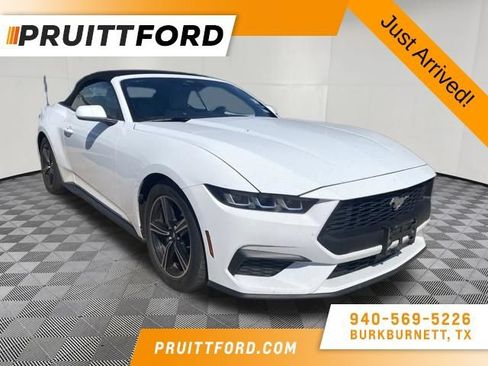 Used 2024 Ford Mustang Premium RWD image 1