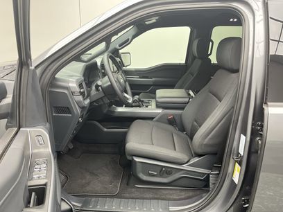 New 2025 Ford F150 XLT w/ Equipment Group 302A MID