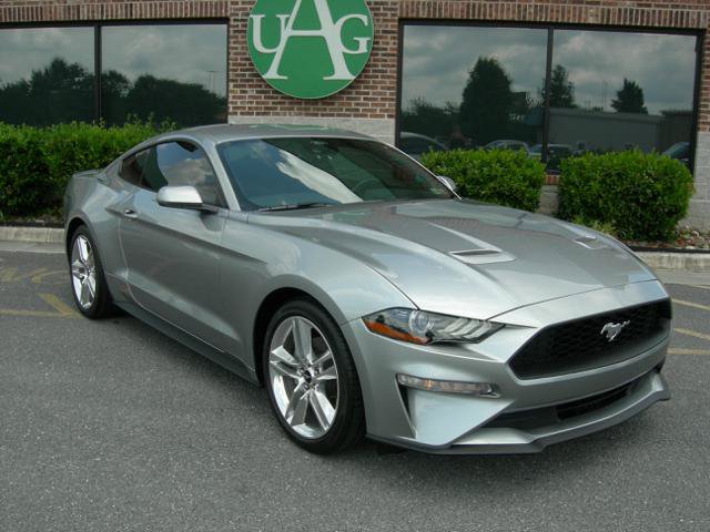 Used 2021 Ford Mustang Coupe w/ Equipment Group 101A RWD image 1