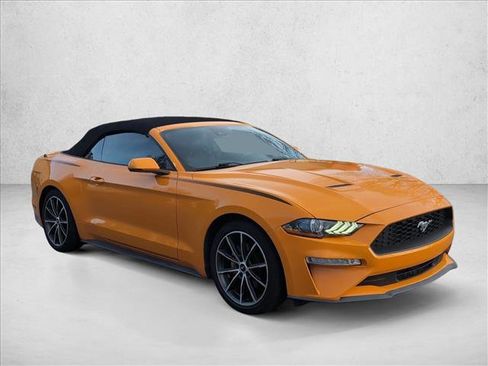 Used 2019 Ford Mustang Premium w/ Equipment Group 201A image 3