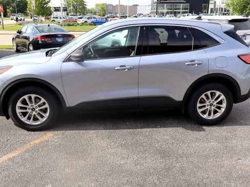 Used 2022 Ford Escape SE w/ Cold Weather Package image 4