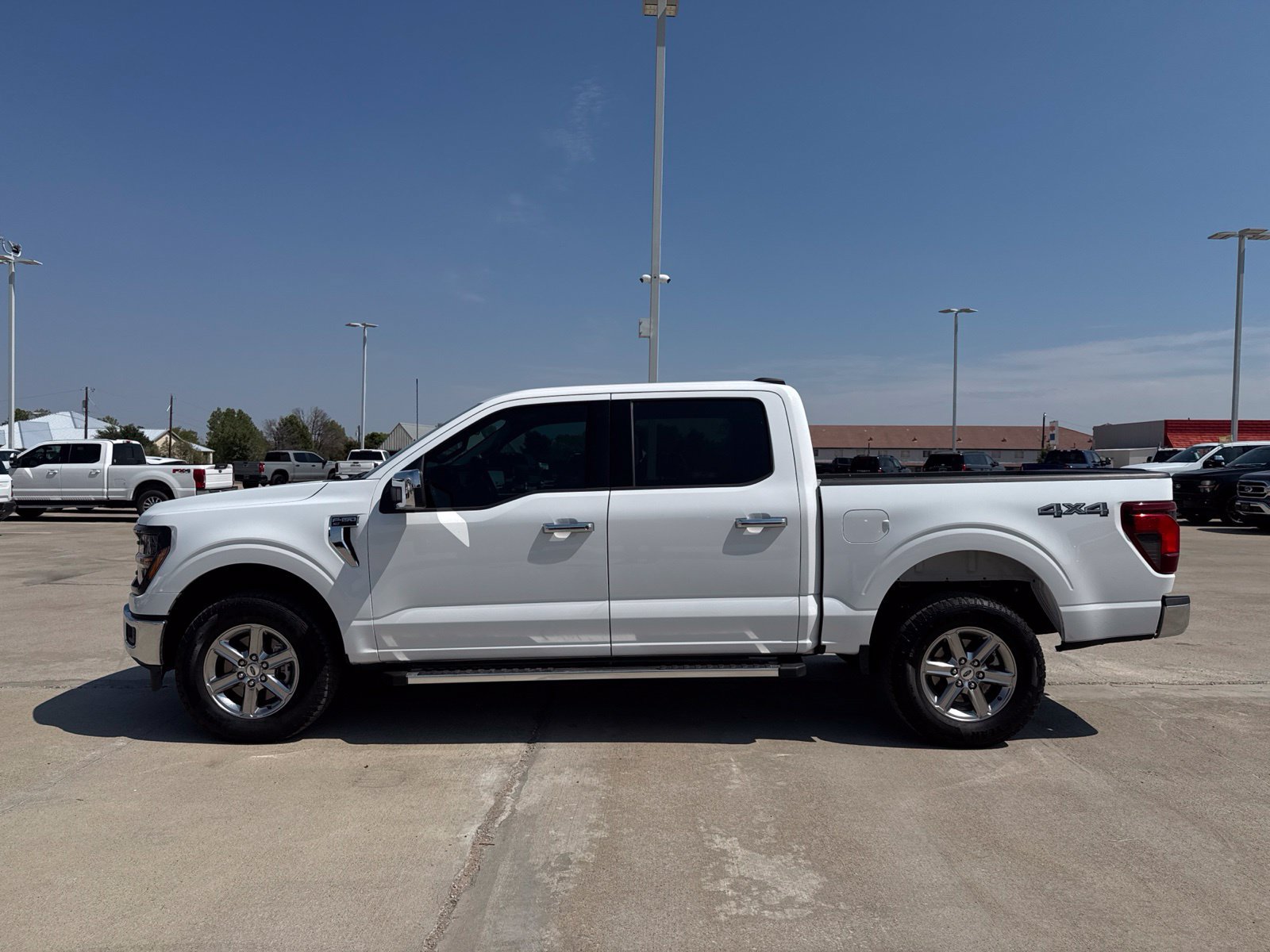 Used 2025 Ford F150 XLT w/ Equipment Group 301A Standard AWD/4WD image 7