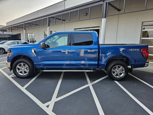 Used 2025 Ford F150 XLT w/ Equipment Group 301A Standard AWD/4WD image 2