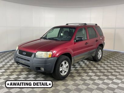 Used 2004 Ford Escape XLT