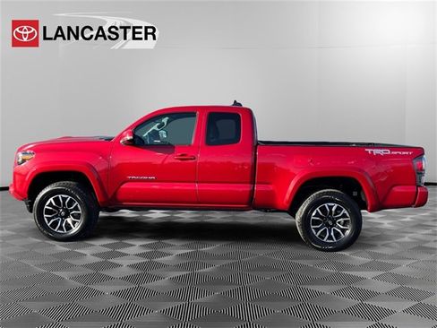 Certified 2022 Toyota Tacoma TRD Sport image 4