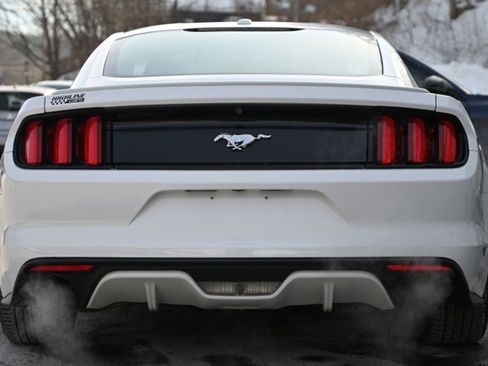 Used 2017 Ford Mustang Premium image 5
