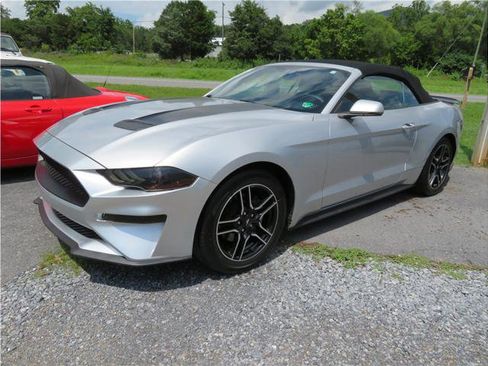 Used 2018 Ford Mustang Premium image 1