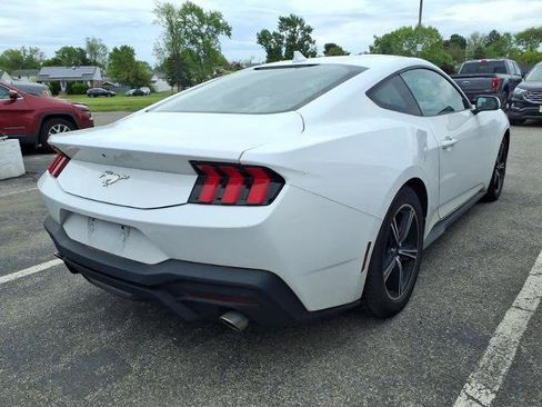 Certified 2024 Ford Mustang Premium RWD image 3