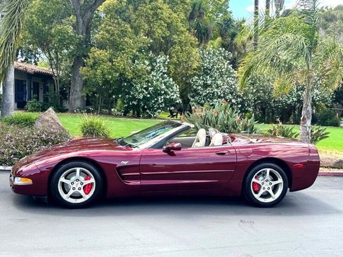 Used 2003 Chevrolet Corvette Convertible w/ Preferred Equipment Group1 image 5