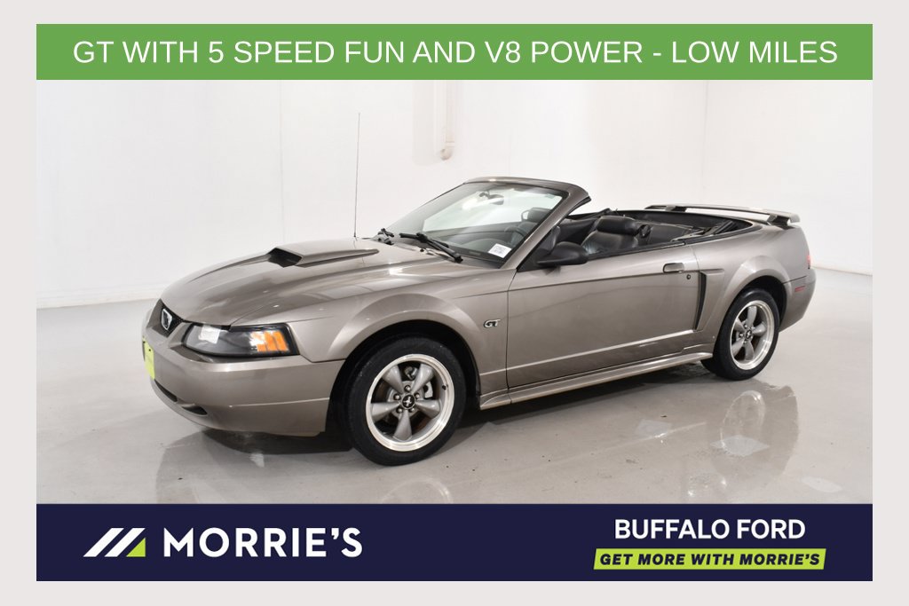 Used 2001 Ford Mustang GT RWD image 1