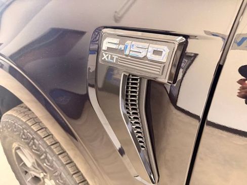 Used 2025 Ford F150 XLT w/ Equipment Group 301A Standard AWD/4WD image 17