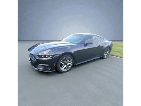 Used 2024 Ford Mustang EcoBoost Cpe image 2