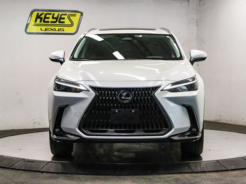 Used 2024 Lexus NX 350h AWD image 6