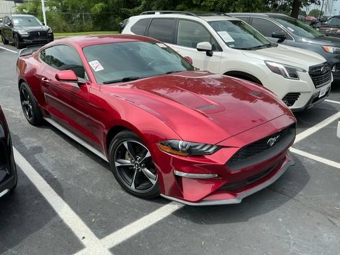 Used 2019 Ford Mustang Coupe w/ Equipment Group 101A RWD image 2