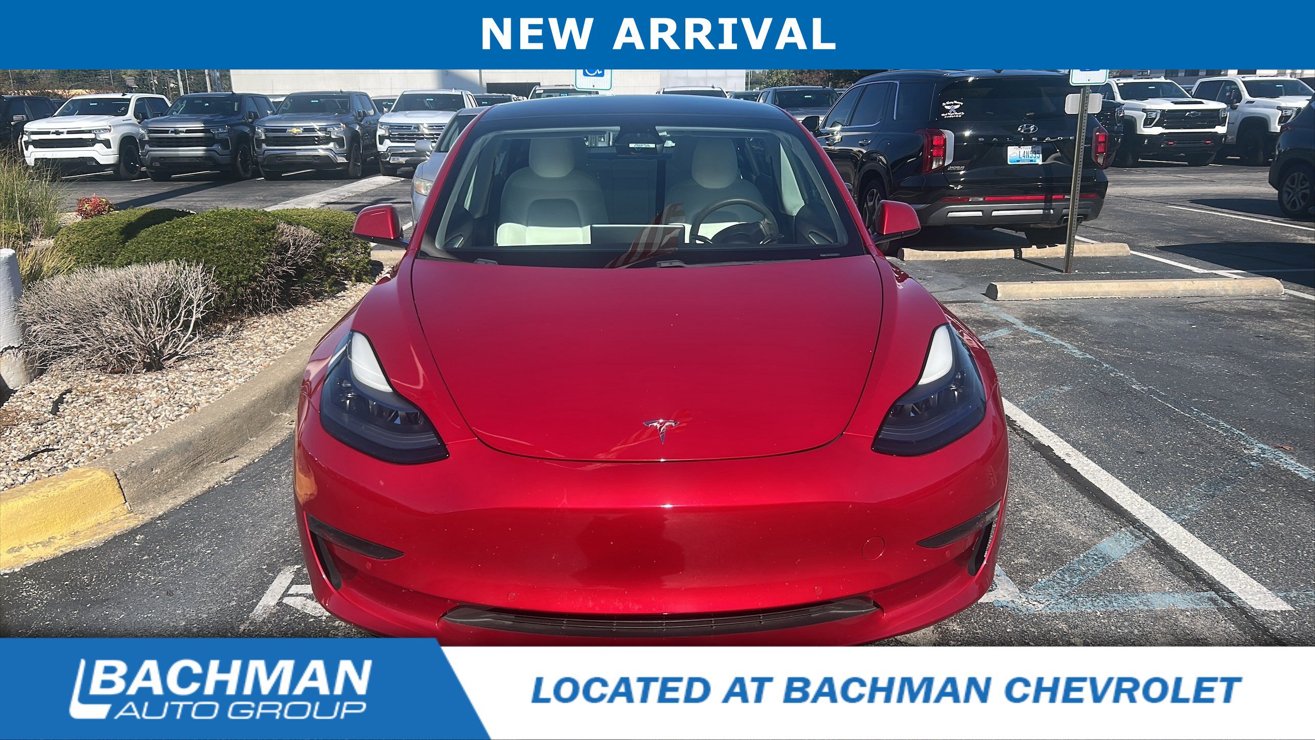 Used 2021 Tesla Model 3 Long Range AWD/4WD image 3