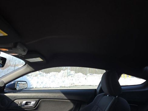 Used 2021 Ford Mustang GT w/ Equipment Group 301A image 16