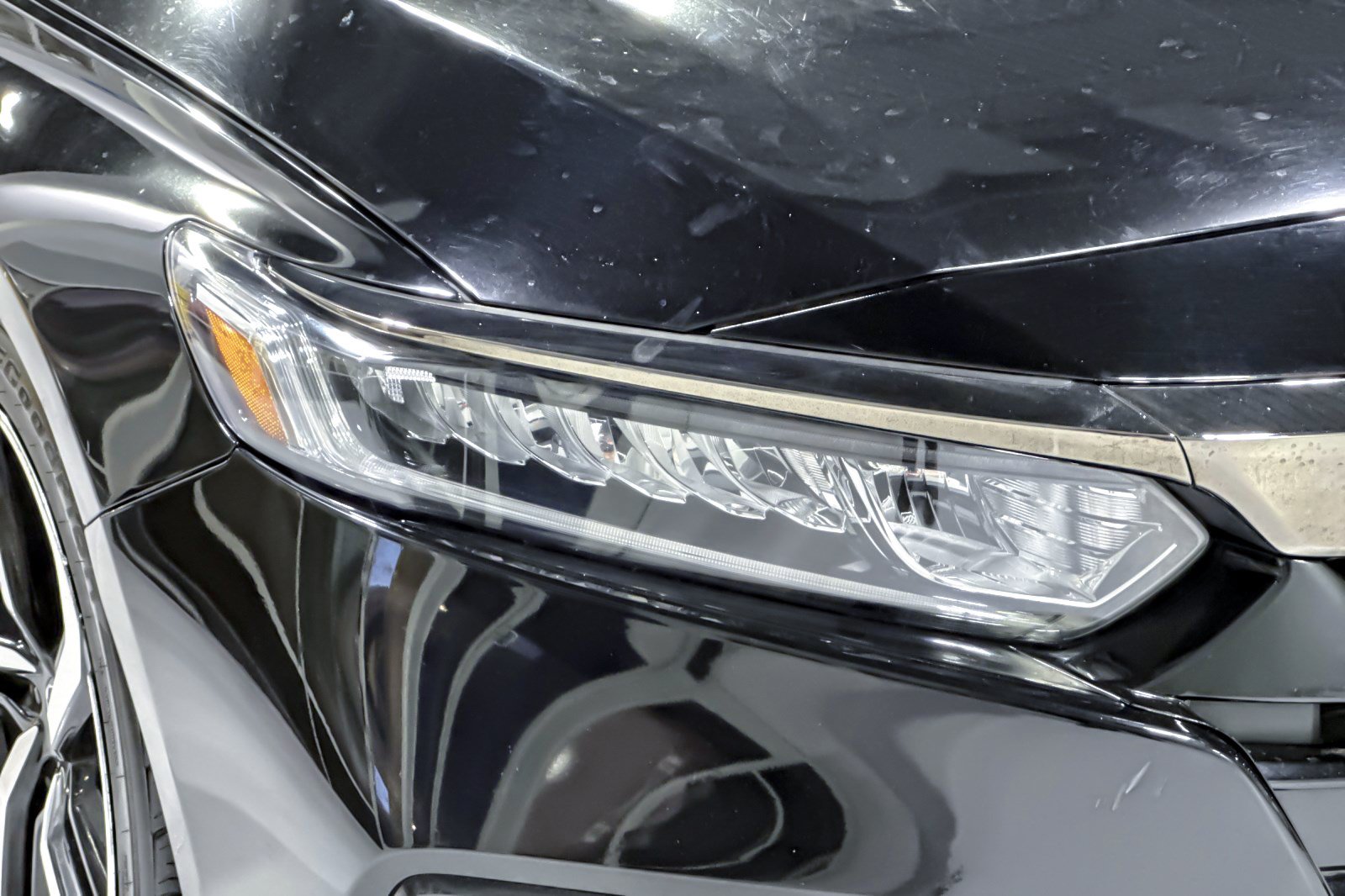 Used 2019 Honda Accord Sport image 12