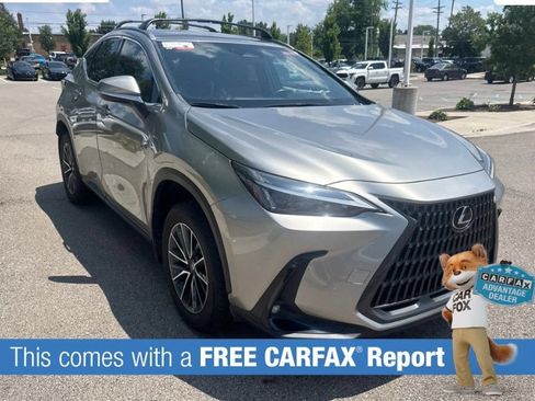 Used 2024 Lexus NX 350h AWD w/ Cold Area Package image 2