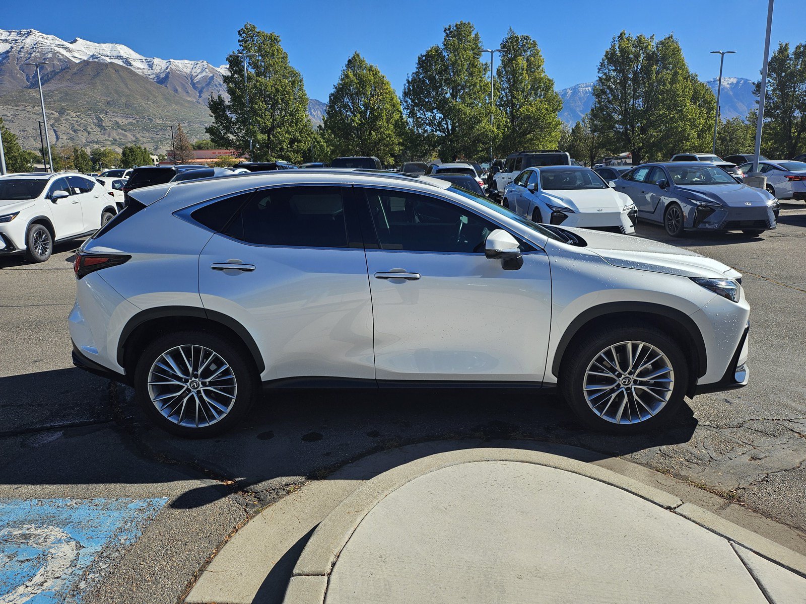 Used 2024 Lexus NX 350 AWD w/ Vision Package image 4