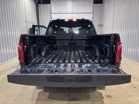 Used 2025 Ford F150 XLT w/ Equipment Group 301A Standard AWD/4WD image 5
