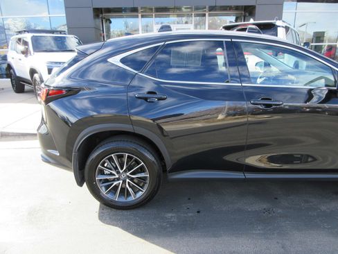 Used 2025 Lexus NX 350h 350h Base w/ Cold Area Package image 10