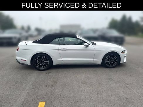 Used 2018 Ford Mustang Premium RWD image 6